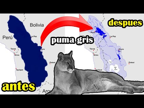 Vídeo: Què significa titicaca?