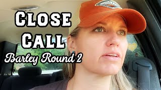 I thought we lost her! : Combining Barley Trouble