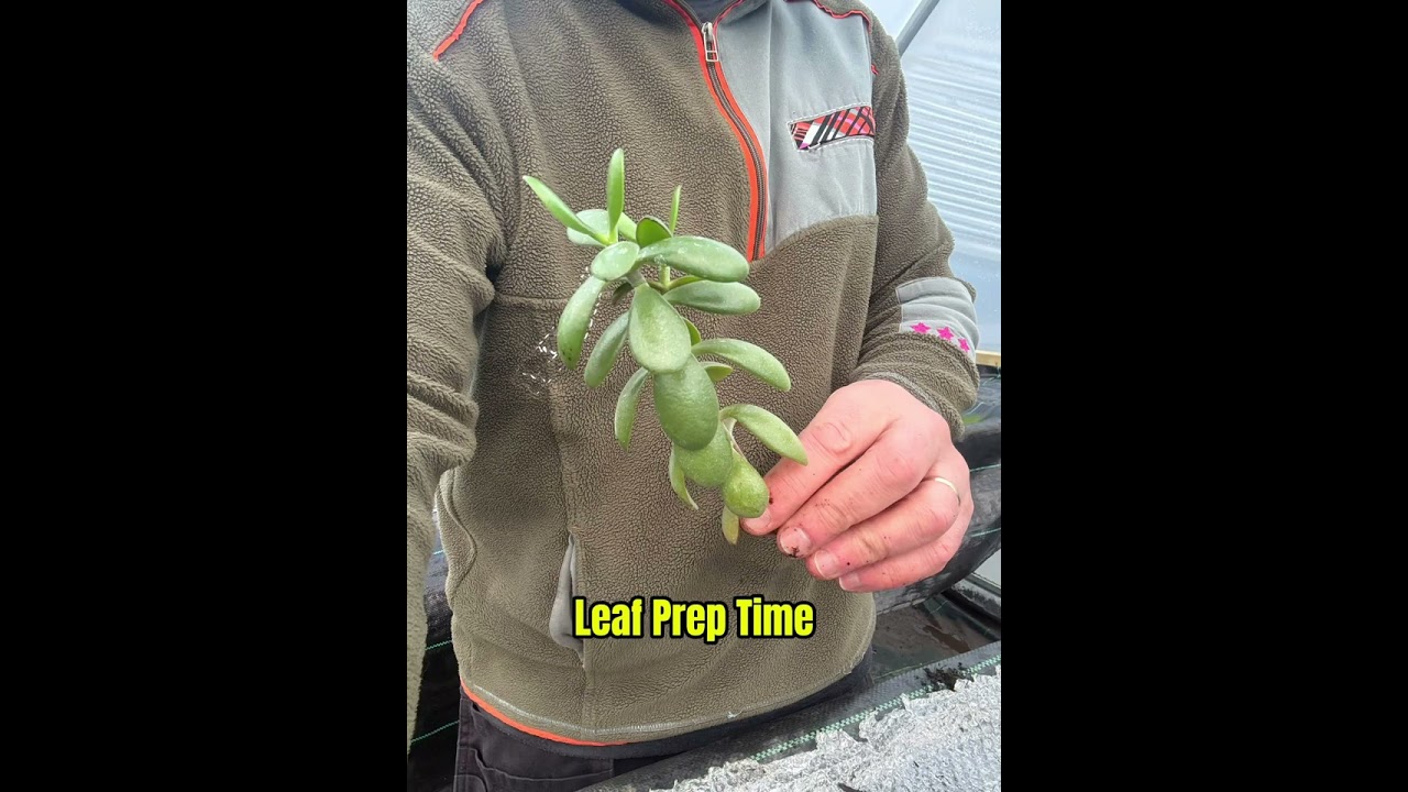 The Garden Today: What&rsquo;s Growing, What To Do and What To Plant &ndash; What&rsquo;s Growing