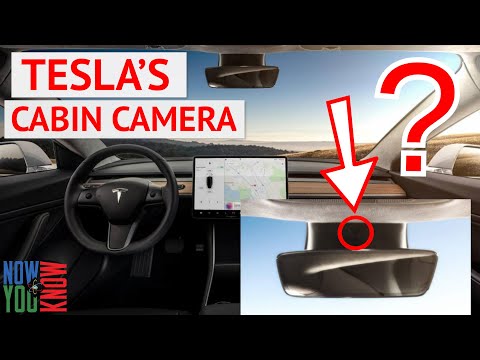 Tesla's Cabin Camera