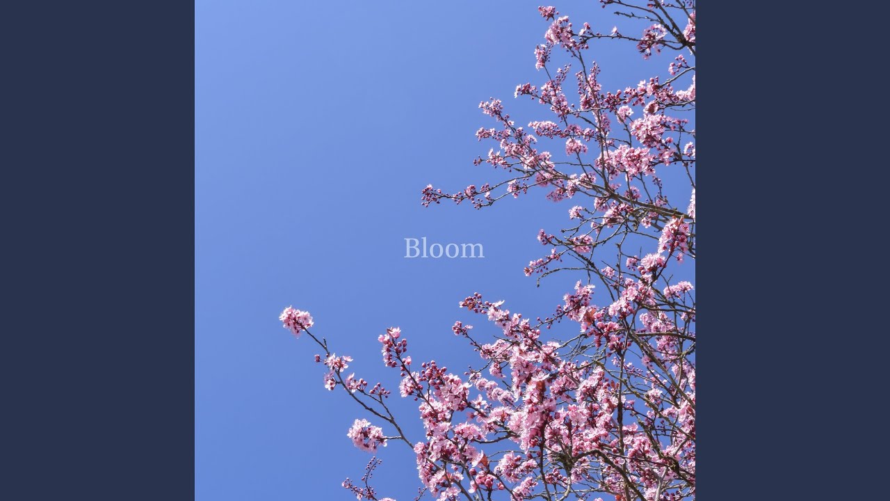 Bloom - YouTube