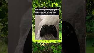 Told one of my Xbox friends I wouldn't be online much because my controller wasn't working