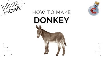 How to make a Donkey in Infinite Craft?