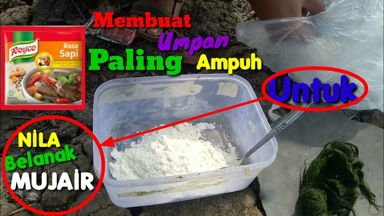 Racikan umpan mancing nila, belanak dan mujair liar susah makan