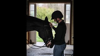 Standardbred Incentive Program (SIP) -- USTrotting
