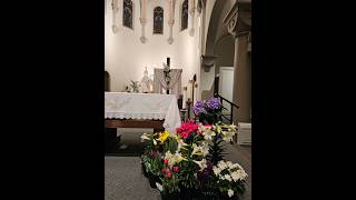 Fourth Sunday of Easter, Sunday, April 26, 2026