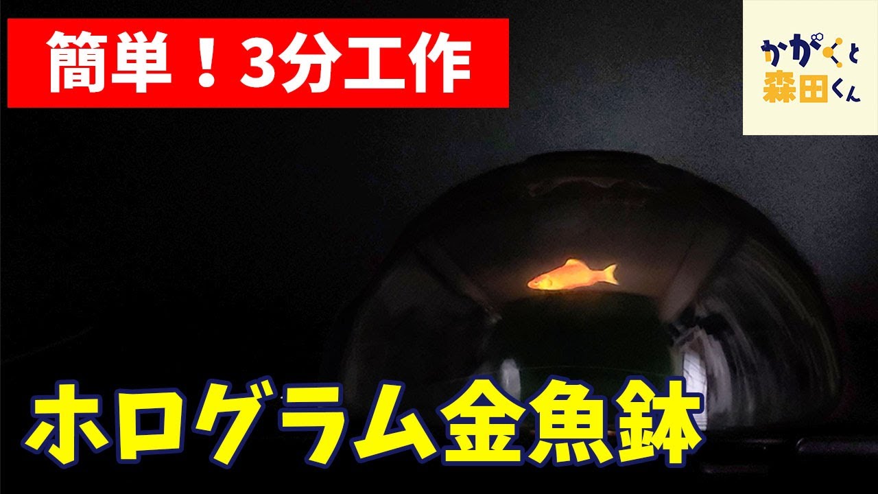 自由研究】自宅で3D水族館！？ / ホログラム金魚鉢【科学実験】【簡単