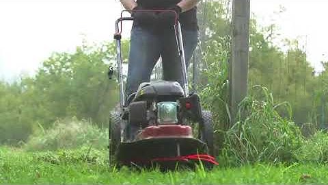 Amazon com Earthquake 28463 String Mower, RedBlack Garden &