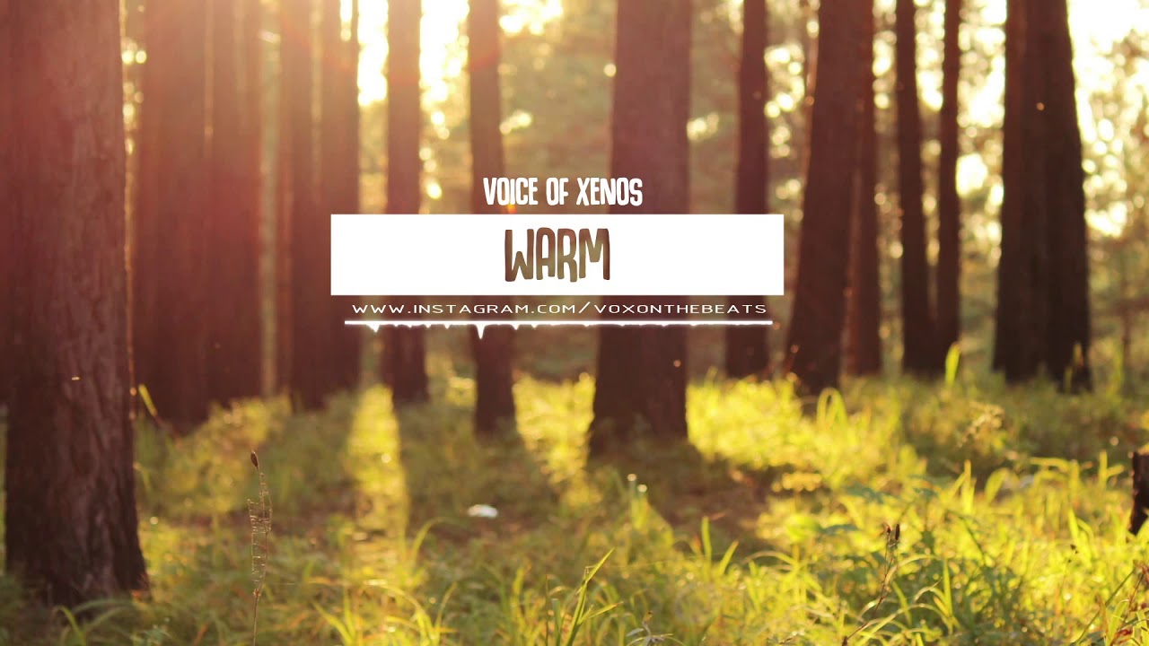 Warm - HipHop Trap Instrumental - Prod by VoX