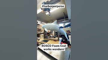 Foam Coating a Harbor Porpoise with Rosco Foam Coat #shorts