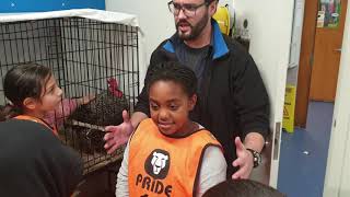 Pride Lands: After school care trip for our big cats. The last of their visit to SPCA as part of the