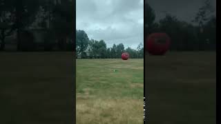 117179069 1004298253355689 8765336137476008353 n