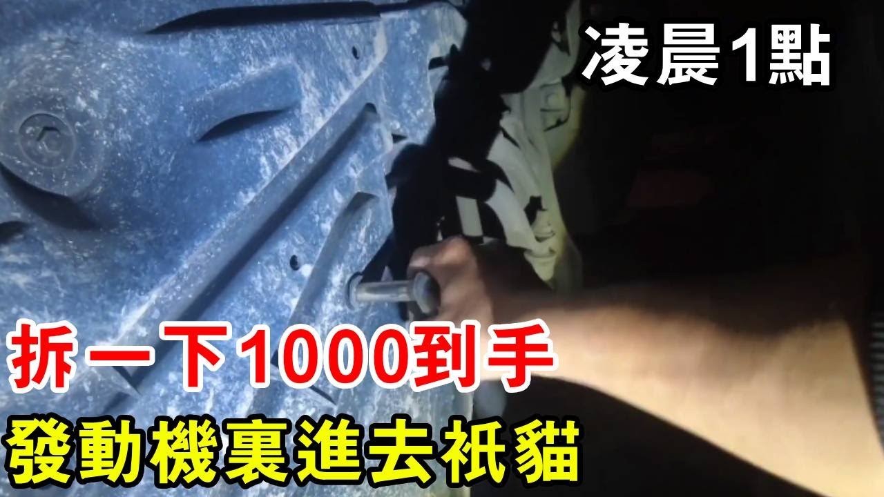 凌晨1點別墅區救援賓士，拆一下1000到手，竟是引擎裡進去隻貓【暴躁的車輪】