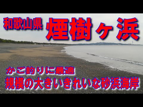 #163和歌山県煙樹ヶ浜かご釣り規模の大きいきれいな砂浜海岸吉備湯浅PA湯浅御坊道路川辺ICファミリーマート日高萩原店国道42号交差点内原駅前交差点志賀交差点美浜町和田交差点竿だし方向故郷の原風景