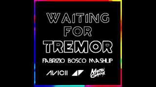 Waiting For Tremor - Avicii & Martin Garrix (Fabrizio Bosco Mashup)