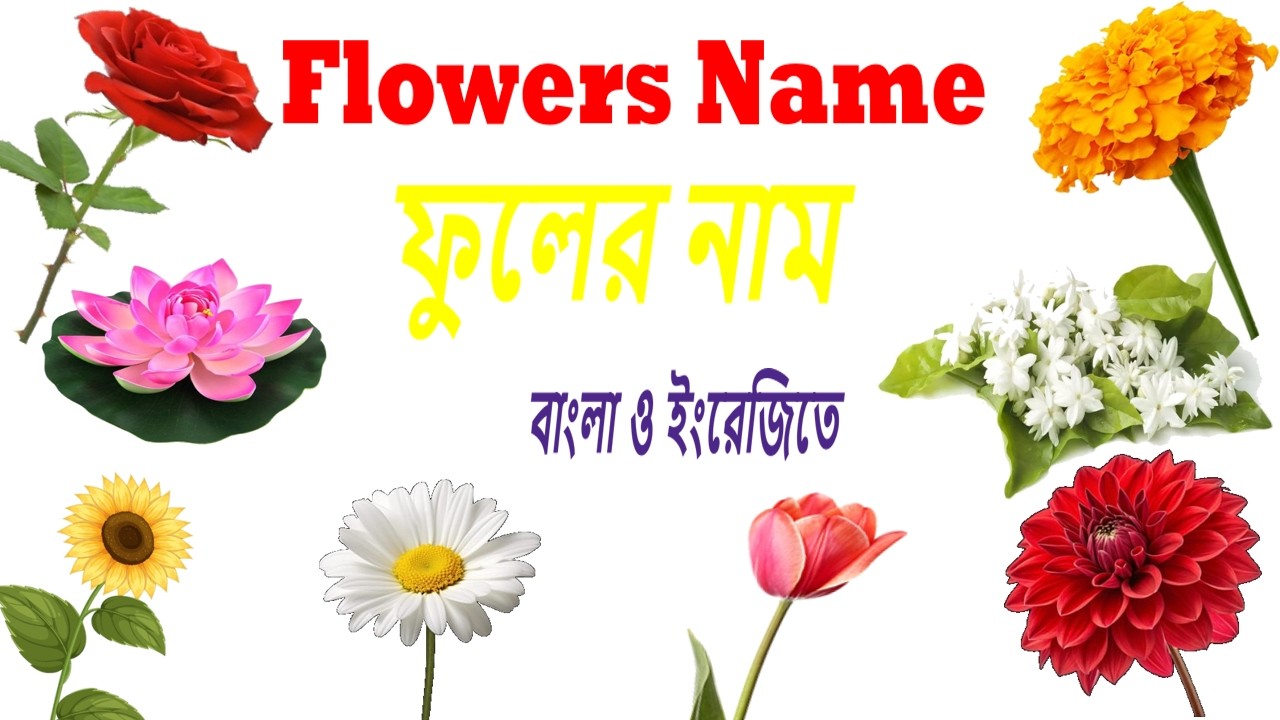 Flowers Name for Kids | Flowers Names in Bangla and English | Learning Video for Kids | ফুলের নাম