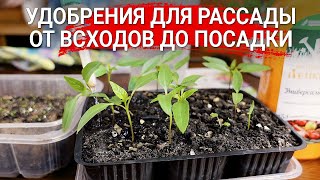 Удобрения для рассады - от всходов до посадки