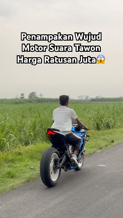 Seperti Inilah ZX25R 4 CYLINDER 😱