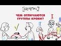 Чем отличаются группы крови? — Научпок