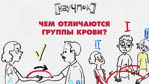 Какие существуют три группы видов исследования