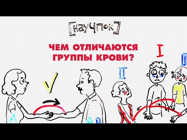 Чем отличаются группы крови? — Научпок class=