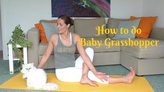 Beginners Yoga: How to do Baby Grasshopper Pose
