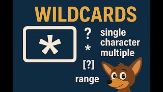 Unix Command Line: Wildcards I
