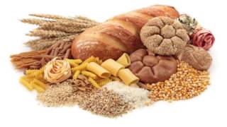 SLC 1st Grade Crew- My Plate, Grains