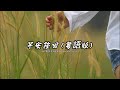 早安隆回 Mp3 Mp4 Free download