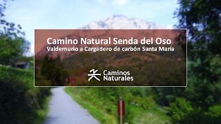 Camino Natural Senda del Oso