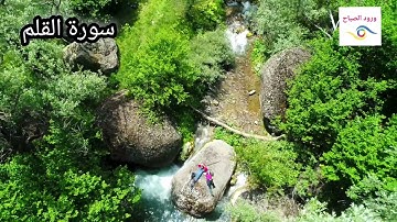 سورة القلم  بصوت  القارئ سالم الرويلي  تلاوة هادئة