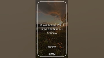 سورة الإخلاص كاملة … الشيخ سعد الغامدي | #allah #الله #القران_الكريم #القرآن_الكريم #foryou #fyp