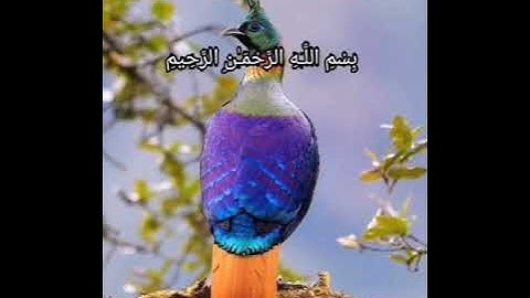 Al-Awar Suresi سورة الأعراف صفحة 154 مكررة بصوت الشيخ أيمن سويد