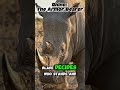 Rhino: The Armor Bearer #wildlife #facts #naturestories #reality#fyp #viralvideo #wildlifecinematic