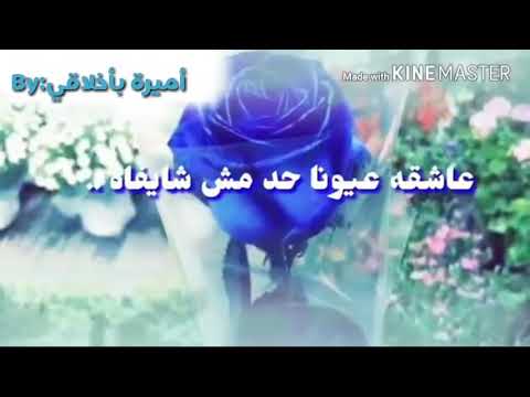 طال سؤالي قل لي زاي كده عاشقة عيونا حد مش شايفاه شوفوا الوصف مهم