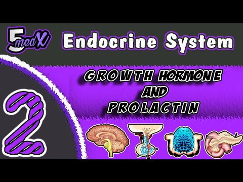 Lecture 2 : growth hormone and prolactin