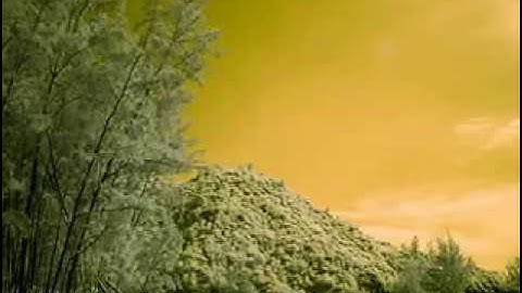 الشيخ كرم زين رحمه الله ــ سورة فاطر