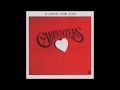 Carpenters I Won T Last A Day Without You