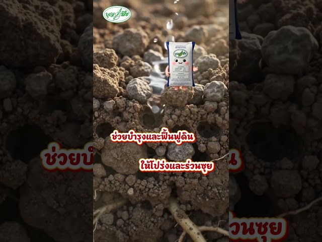 ดินแข็ง ดินแน่น ต้องใช้บุญพืช