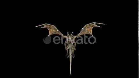 Dragon | Motion Graphics - Envato elements