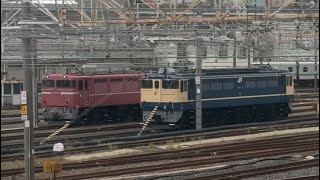 「尾久車両センターの様子！」国鉄EF81-81号機とEF65-1103号機が留置！