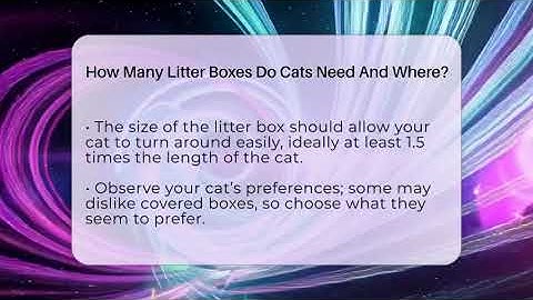 How Many Litter Boxes Do Cats Need And Where? - Happy Cat Handbook