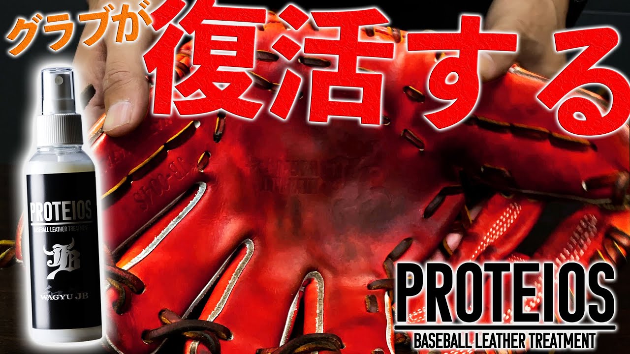 プロティオス　和牛JB PROTEIOS グラブお手入れ 新品４本セット