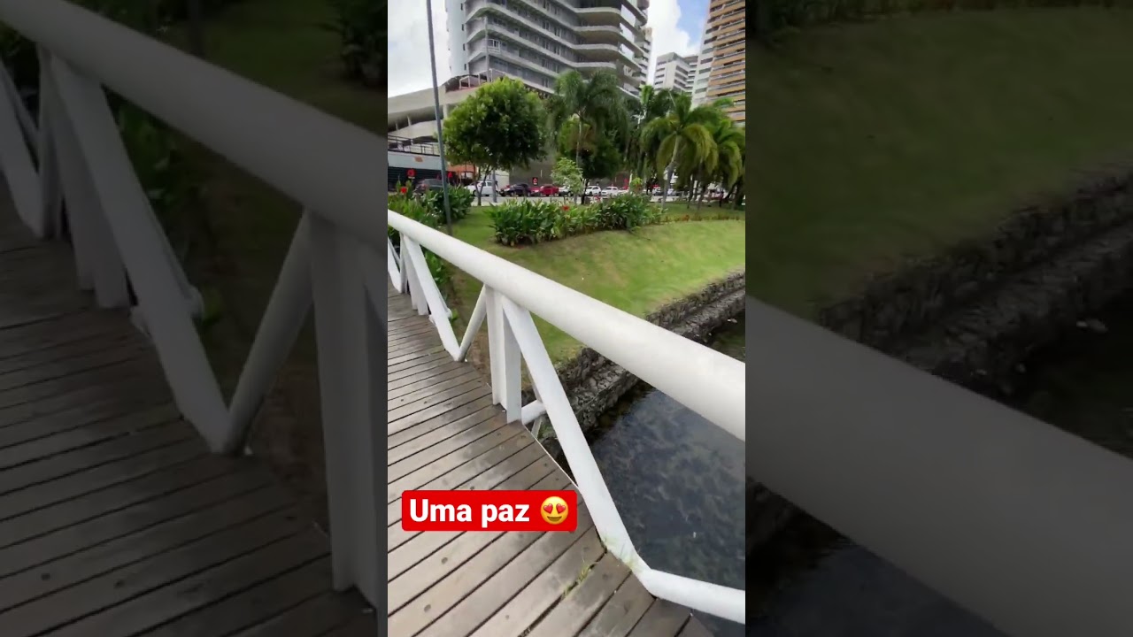 Parque do Bisão - Beira Mar de Fortaleza