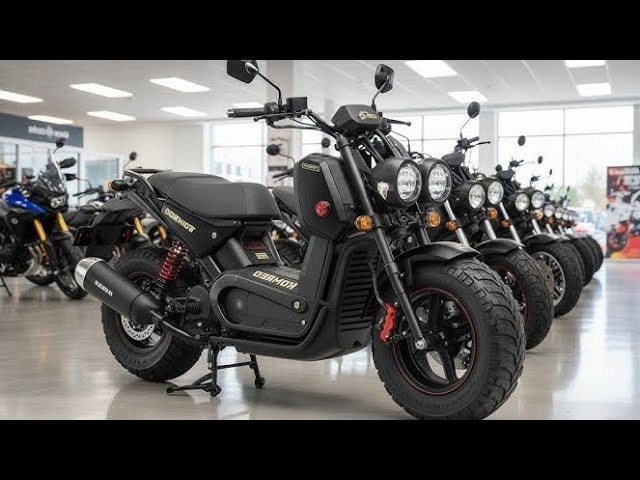 2026 Honda Zoomer X Full Review USA | Best Urban Scooter for Daily