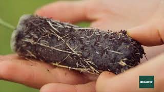 Ellepot - One integrated Propagation System for eucalyptus trees
