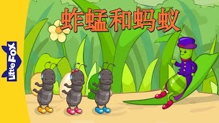 The Grasshopper and the Ant (蚱蜢和蚂蚁) | Folktales 1 | Chinese | By Little Fox