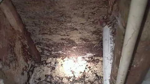 Bathroom Floor Damage Discovered by Home Inspector Nashville.wmv