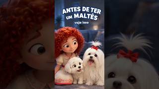 Antes de ter um Maltês… veja isso 🚫