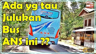 MELIHAT AKSI BUS A.N.S DI LINTASAN || Lagu minang terbaru 2021